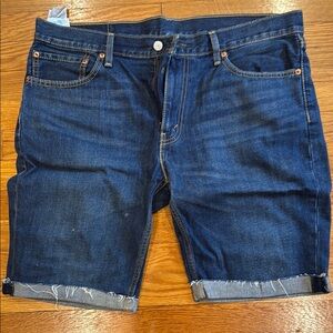 Men's Blue Denim Shorts